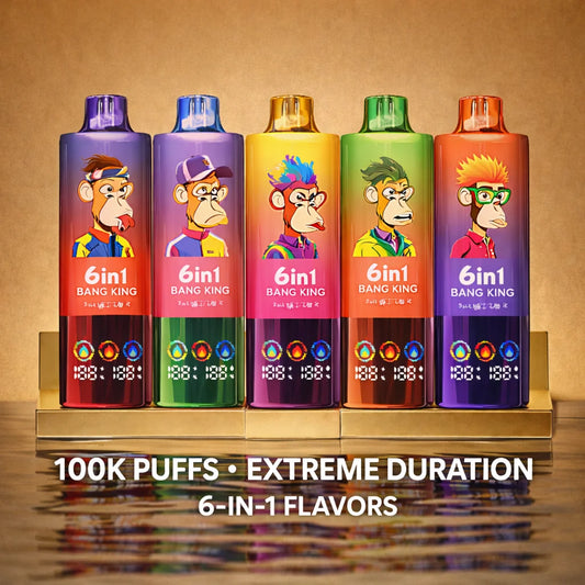 100.000 Vape 6 in 1 Vape